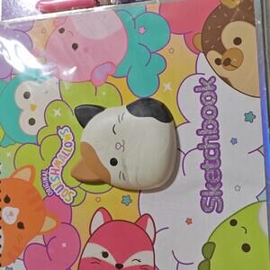 Original Squishmallows Sketchbook drawing ,& more
